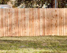 Resolving Common Garden Disputes with Your Neighbours