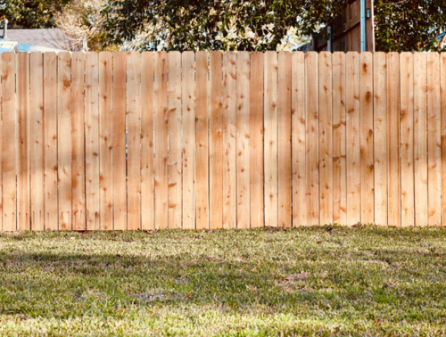 Resolving Common Garden Disputes with Your Neighbours